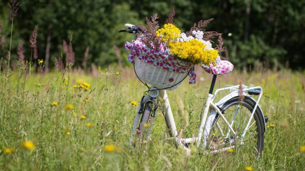 the bicycle has a yellow flower  